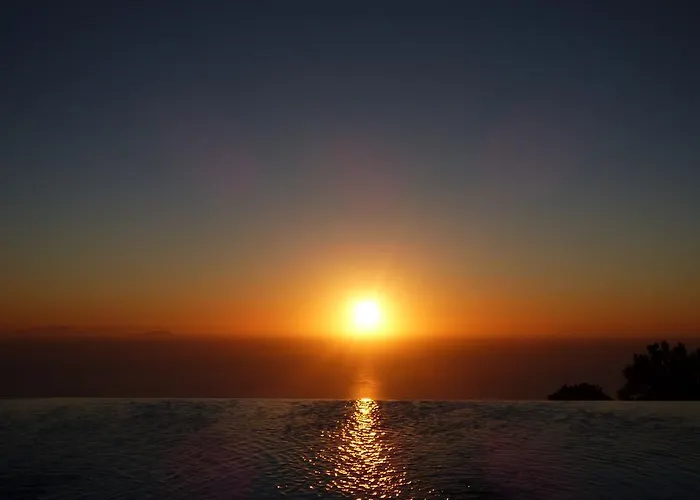 Rampelia * Ημεροβίγλι